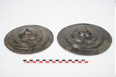 Foto von Bronzephalere (NHMW-PRAE-025563)